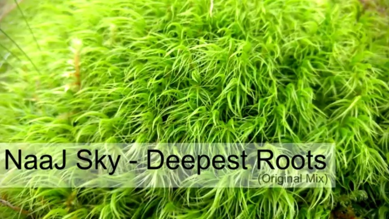 NaaJ Sky - Deepest Roots (Original Mix)