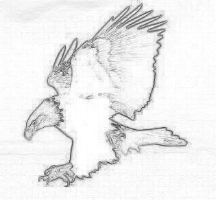 TheEagle - Confusing Thoughts Part III (2019 Edition)