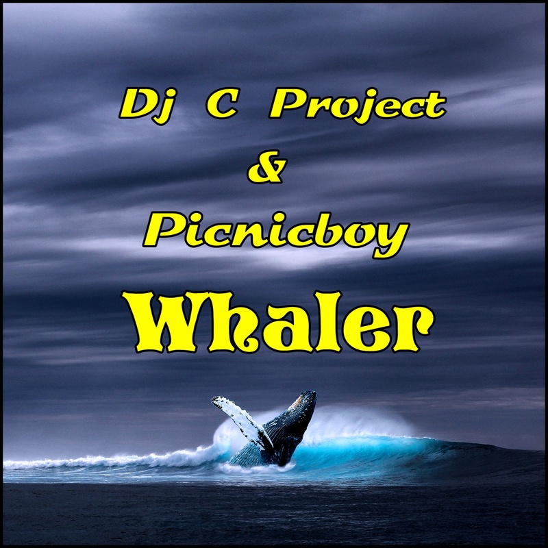 DJC Project - Picnicboy & DJ C Project: Whaler 2019 (Ambiente Track)
