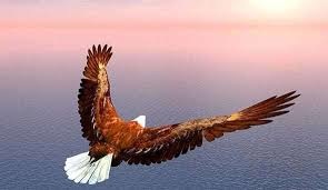 Future Recording - Freedom