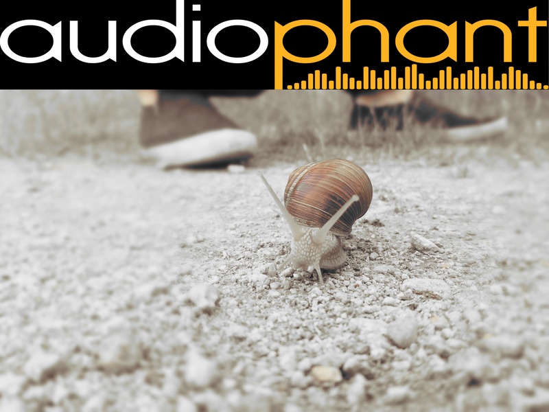 AudioPHANT - FrühlingsTanz der Schnecken (original mix)
