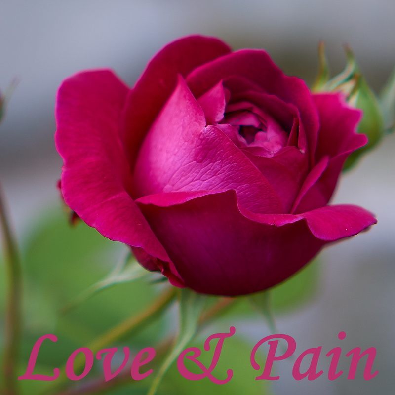 Active Sensing - Love & Pain