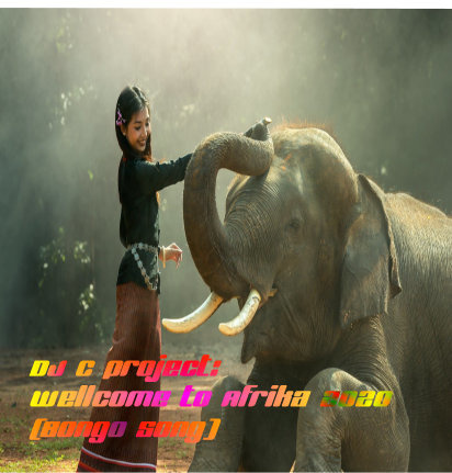 DJC Project - DJ C Project: Wellcom to Afrika 2020 (Bongo Song)