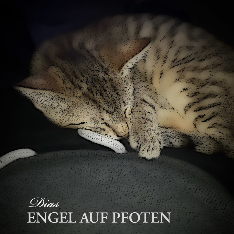 Dias (Official) - Engel auf Pfoten