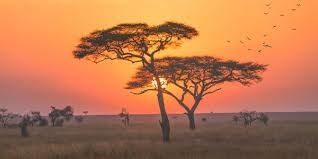Future Recording - oh Afrika