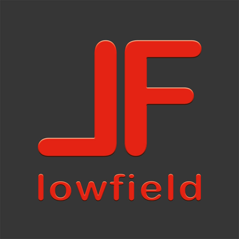 LOWFIELD - Fly To The Moon