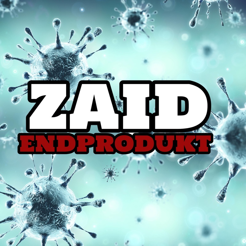 ZP-Music Entertainment - ZaiD - Endprodukt