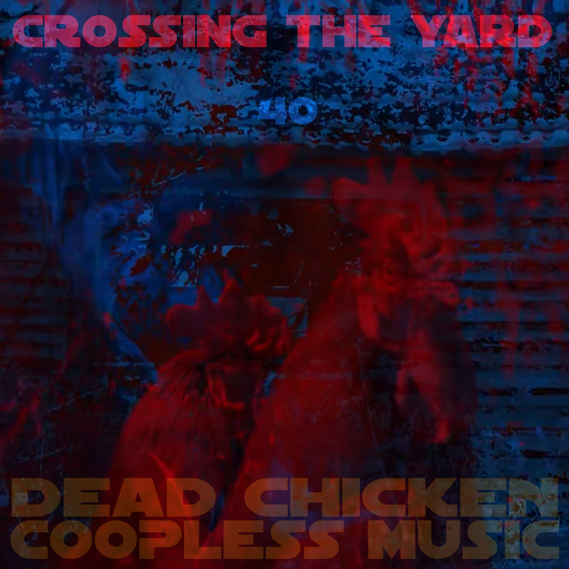 Nr.40 - crossing the yard - DEAD CHICKEN - coopless music