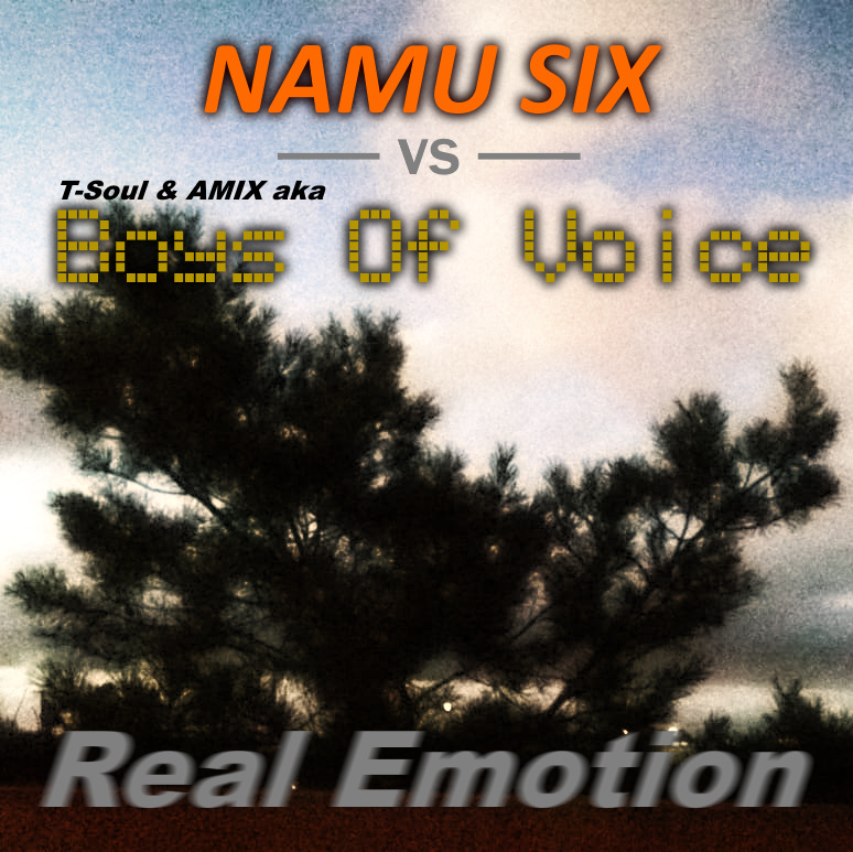 Namu Six - Real Emotion (vs. Boys Of Voice)