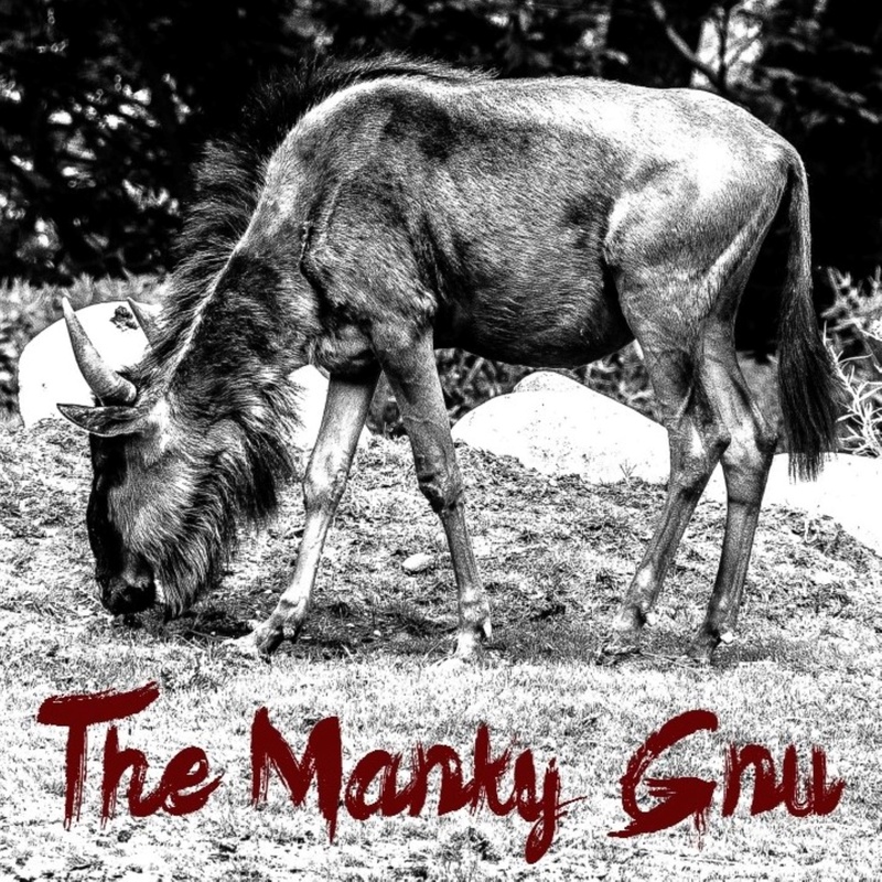 The Manky Gnu - Everything's Fine (Between the Devil and the Deep Blue Sea)