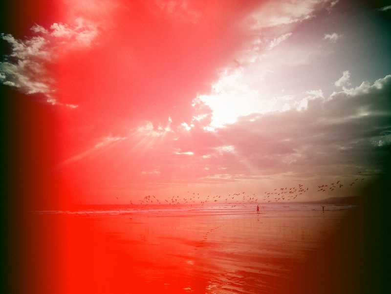 Sebasco - Reckless Waters