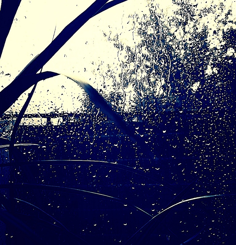 gnork - Rainy Days