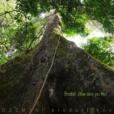 DZ productions - Ernstfall (How dare you Mix)