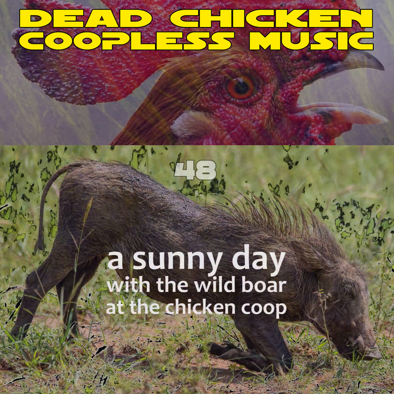 DEAD CHICKEN - Nr.48 - a sunny day with the wild boar at the chicken coop