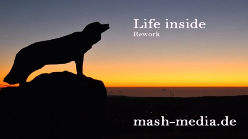 Stycal Mash - Life Inside