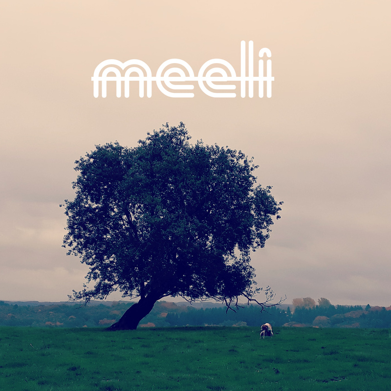 meelman - Freigeist