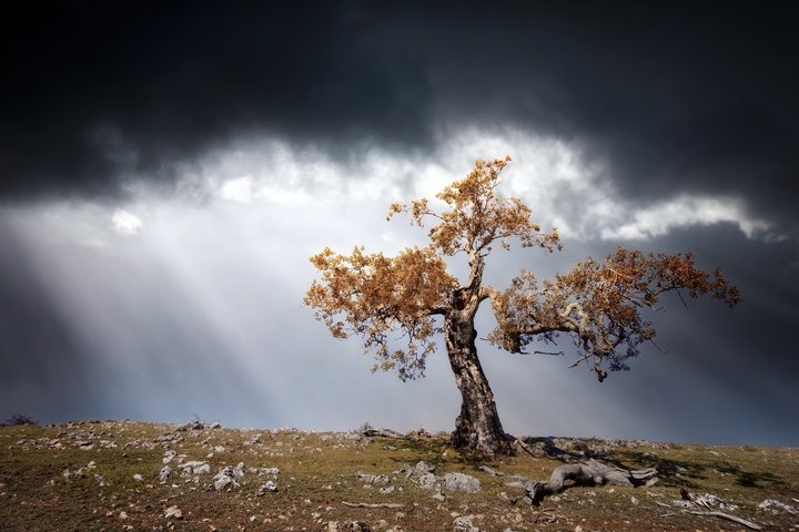 Mayflying - Ruhe vor dem Sturm