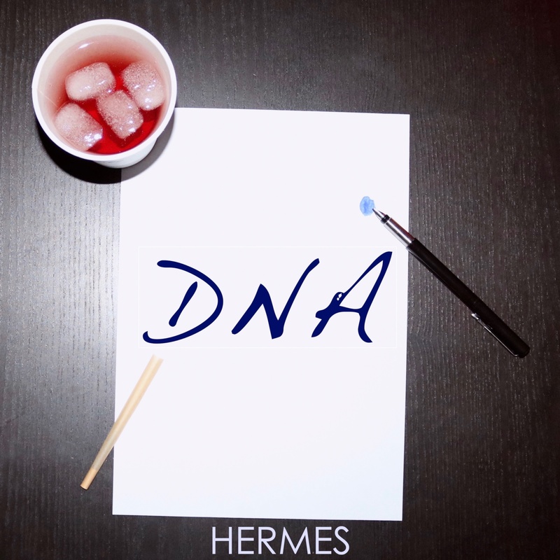 Herm3s - DNA
