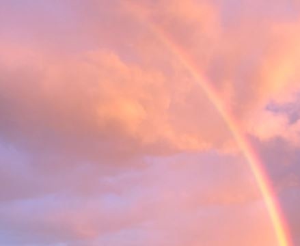 Cripp - Rainbow Ride