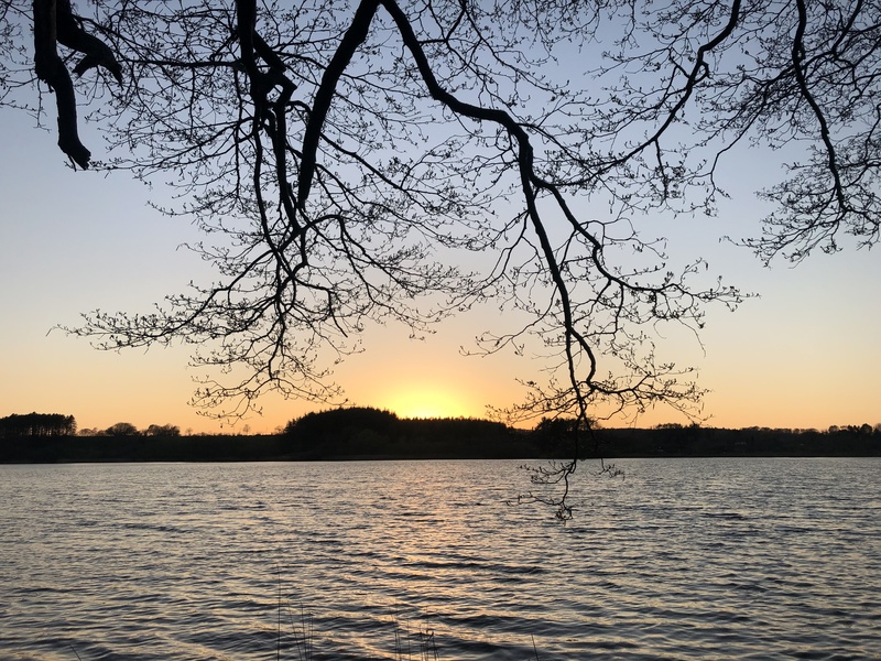 Neal´s Blues - Sunrise