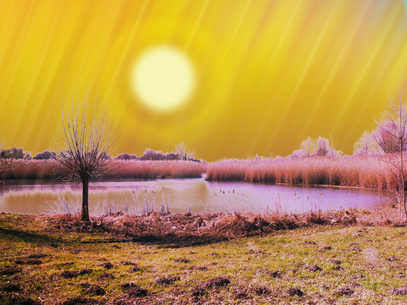 JazzGarten - Landscape