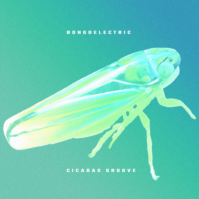 Bongo Drescher - Cicadas Groove