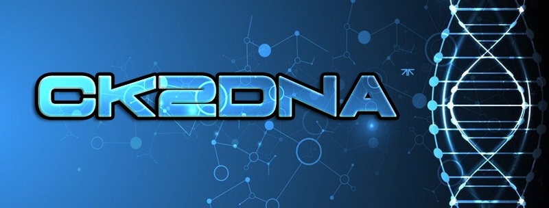 C K 2 D N A - CK2DNA - Tiefenrausch - Remix - Premium