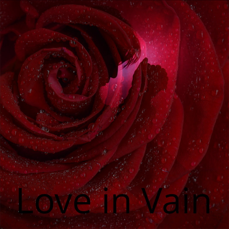 Dhin/Magic Pad Corporation - Love in Vain