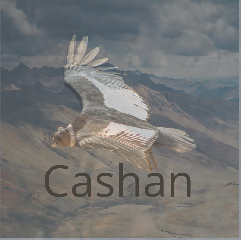 Dhin/Magic Pad Corporation - Cashan