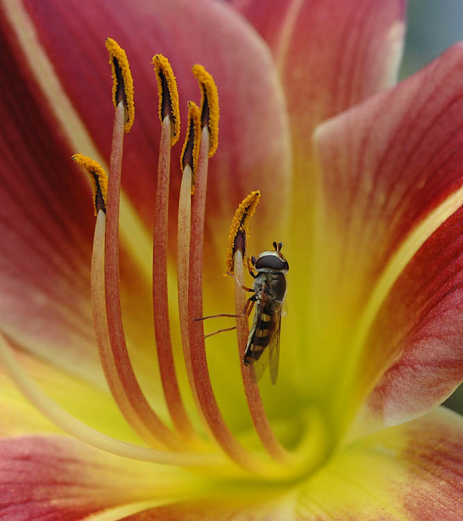Slow Tact - Lausche der Natur