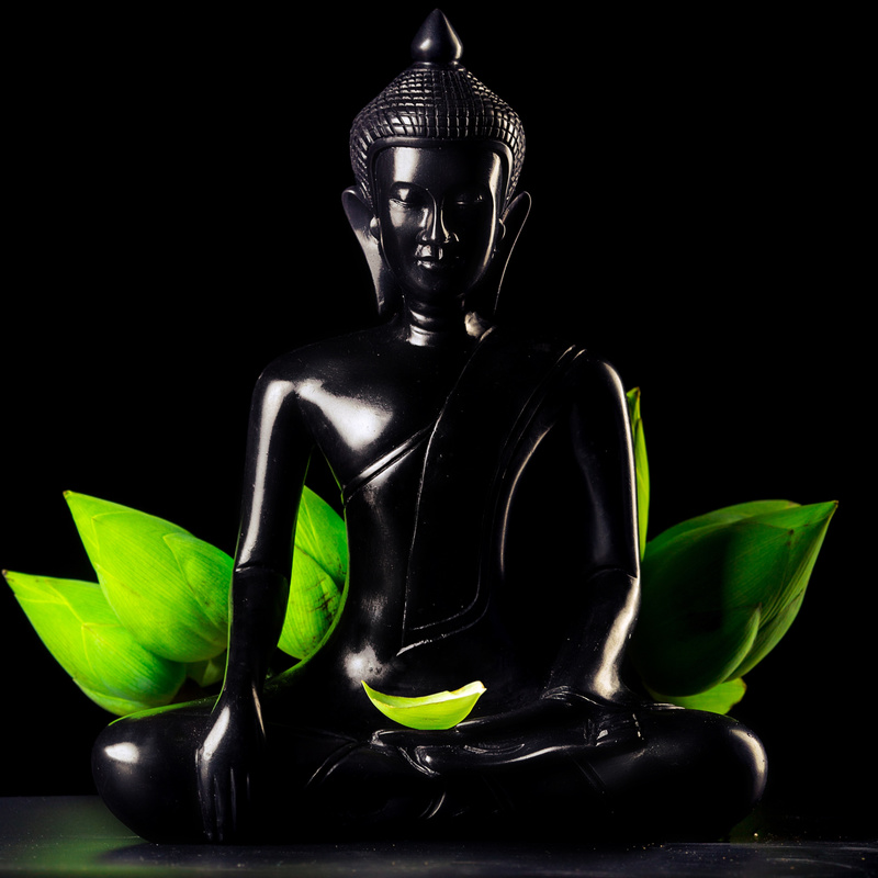 Spacea - Zen Garden