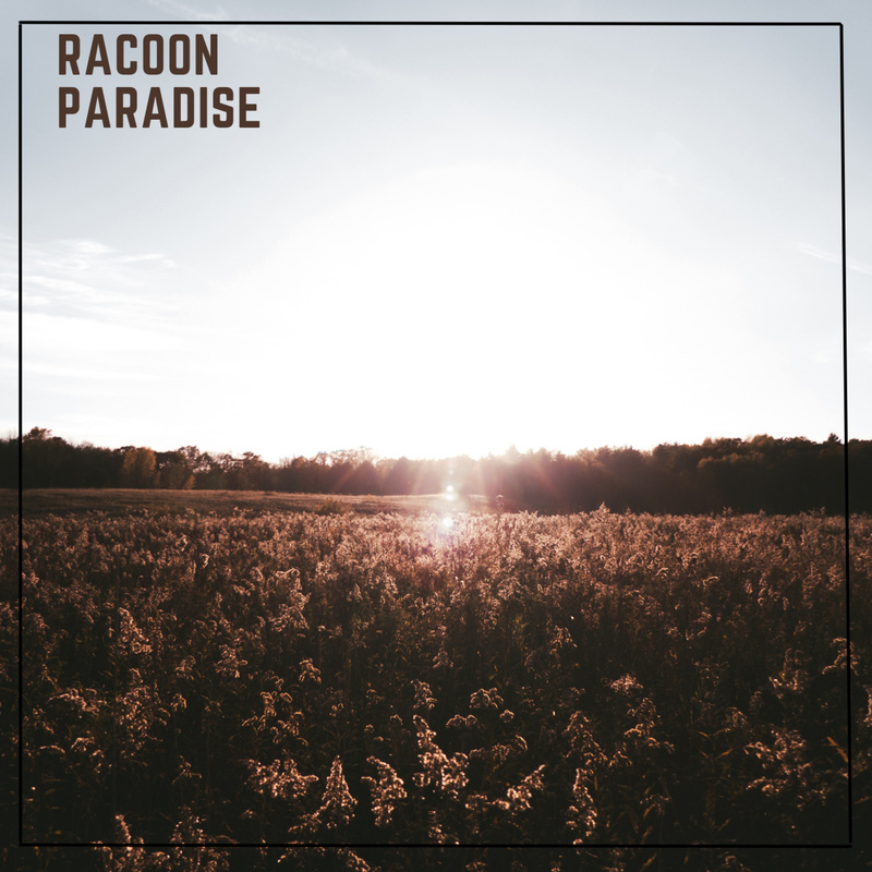 RACOON - Paradise