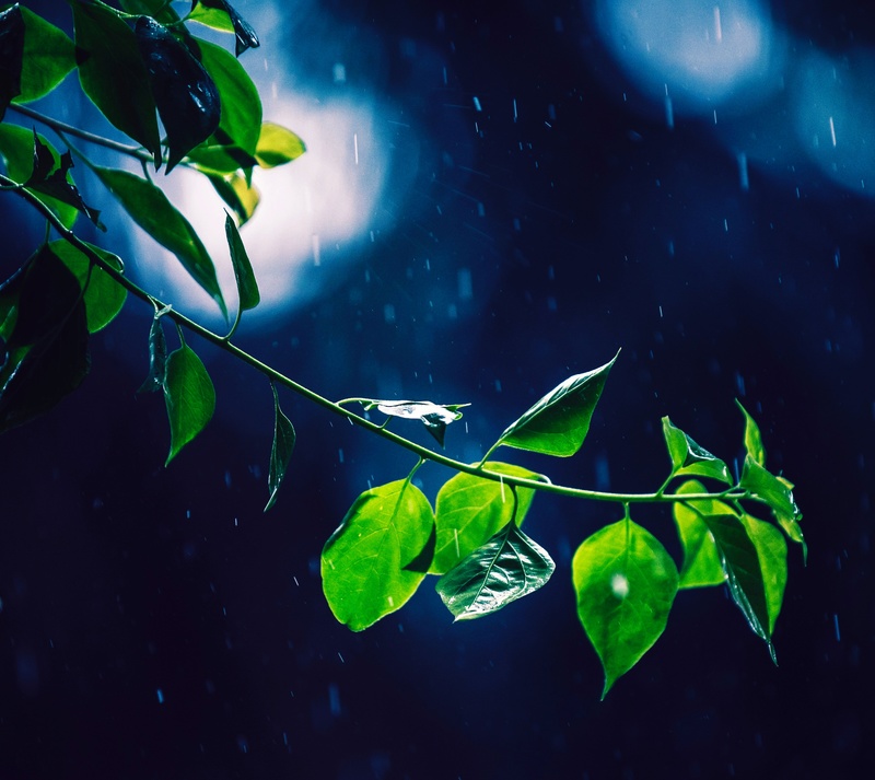 AndiSteffen - Barefoot in the Rain