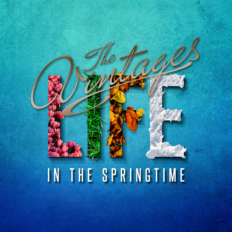 THE VINTAGES - IN THE SPRINGTIME