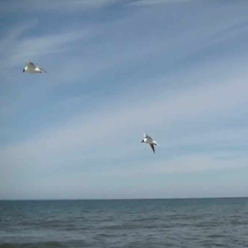 The Beach Radio Band - In Flyby