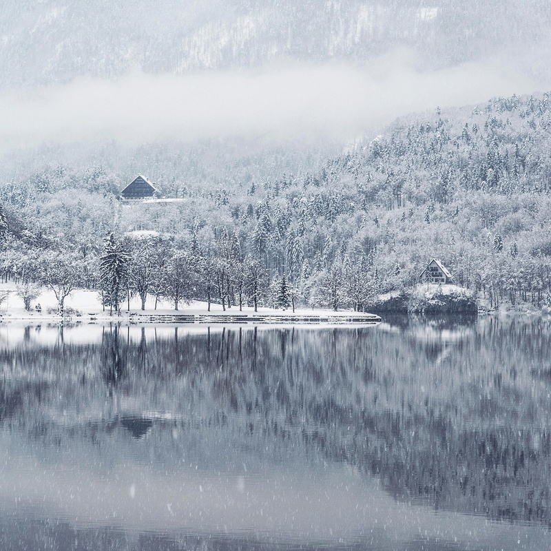 Anima Infinity - Winter Landscape