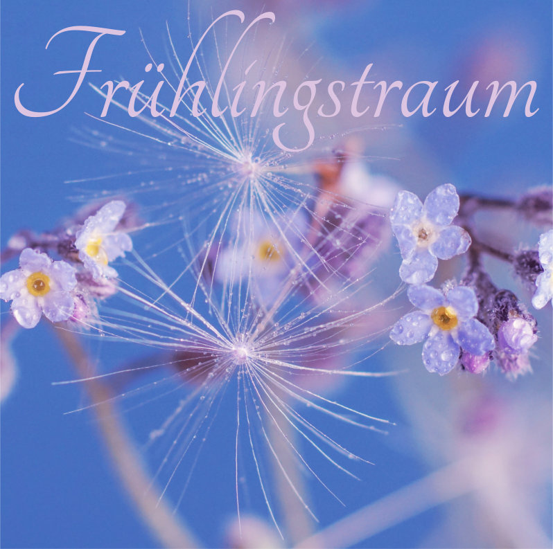 Dhin/Magic Pad Corporation - Frühlingstraum