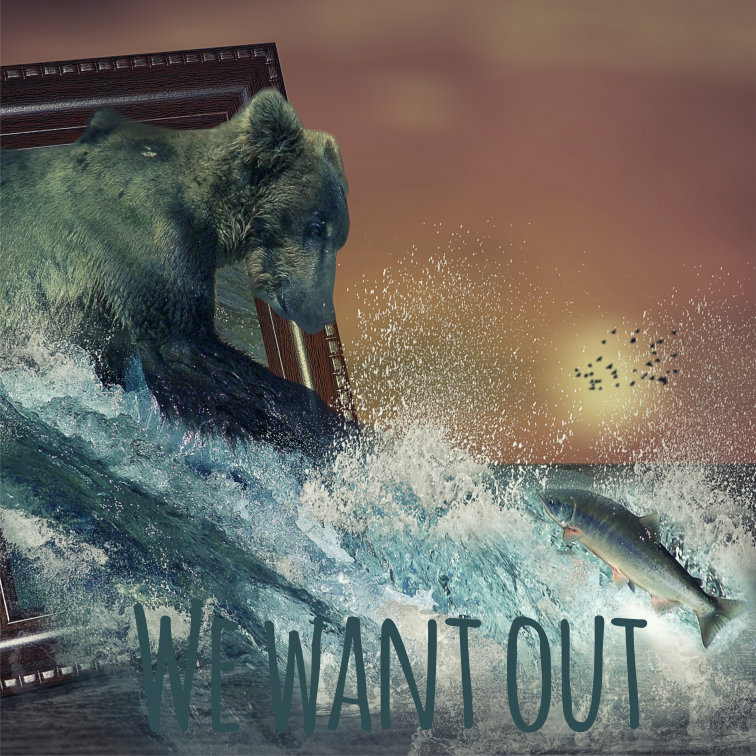 Dhin/Magic Pad Corporation - We want out
