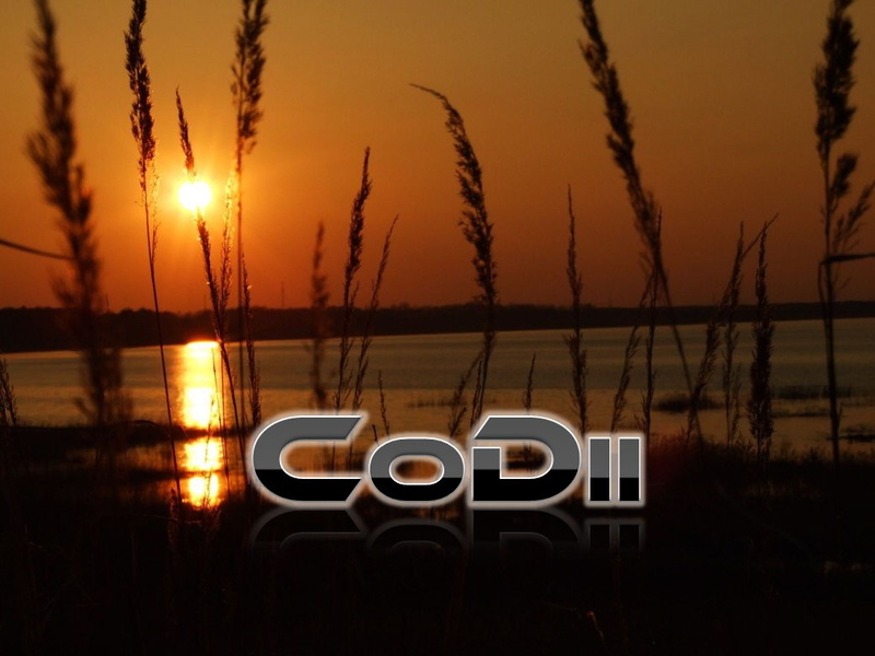 CoDii - Alone