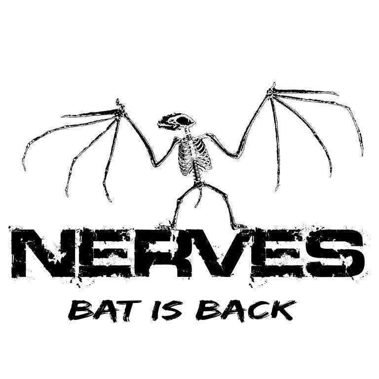 THE NERVES - Masquerade