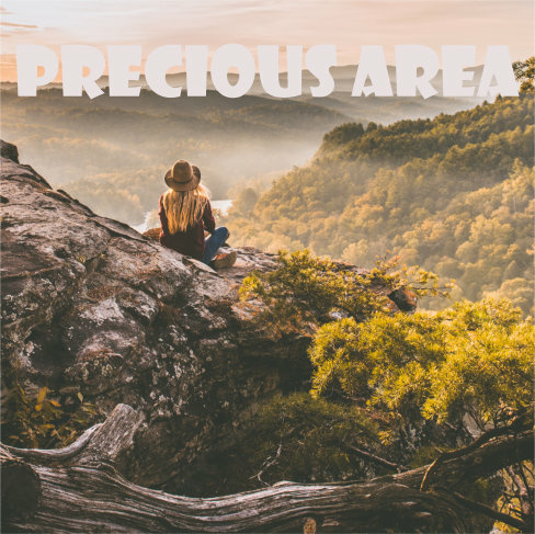 Dhinstroke - Precious Area