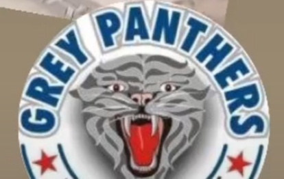 Adur! - Grey panthers