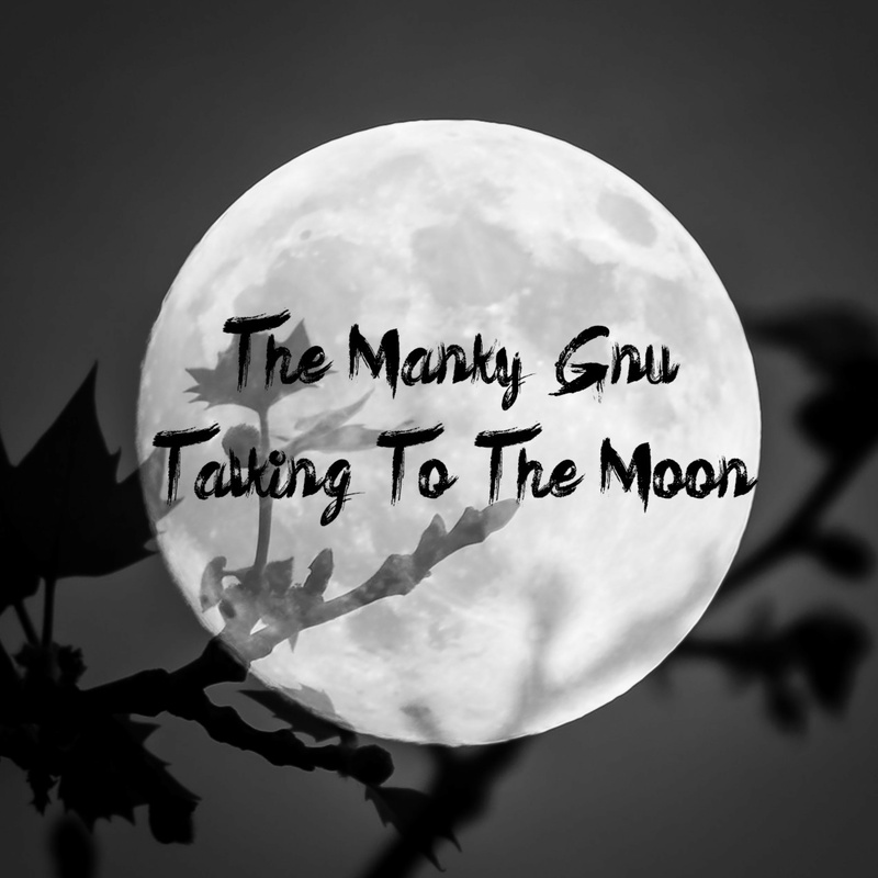 The Manky Gnu - Talking To The Moon