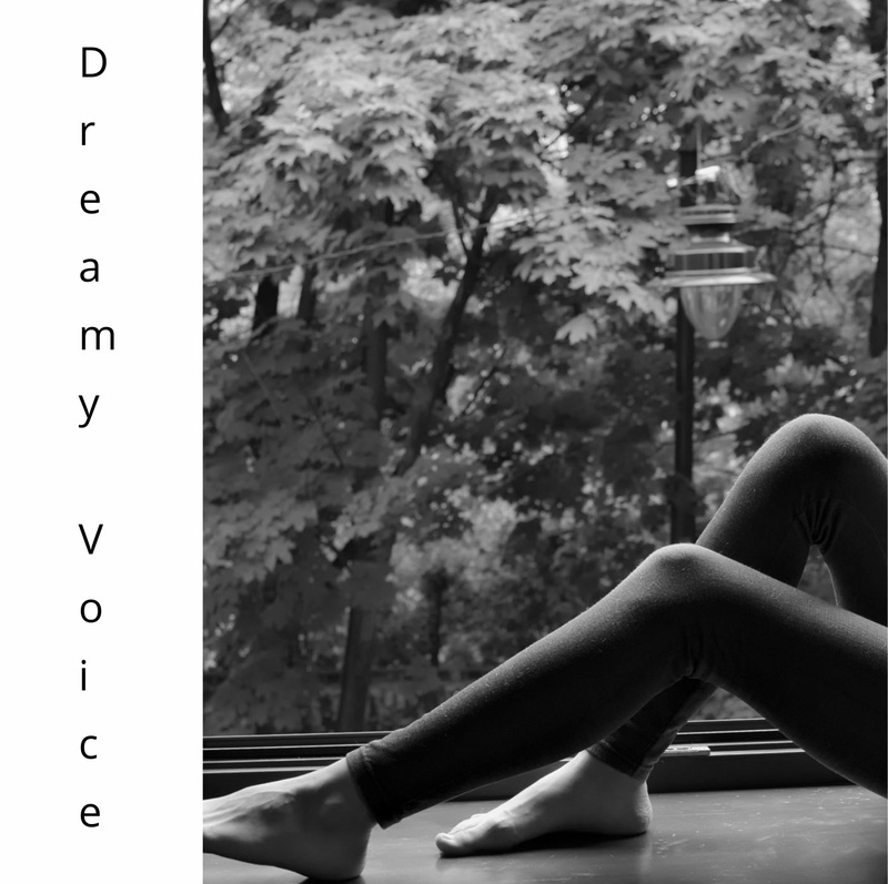 Dhinstroke - Dreamy Voice