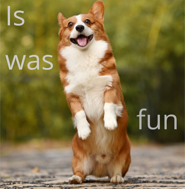 Dhinstroke - It was Fun