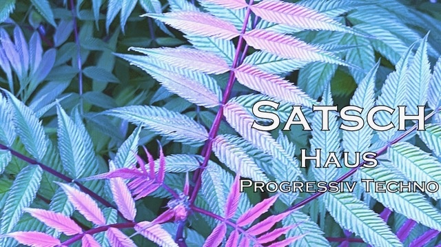 SATSCH - 03_Haus