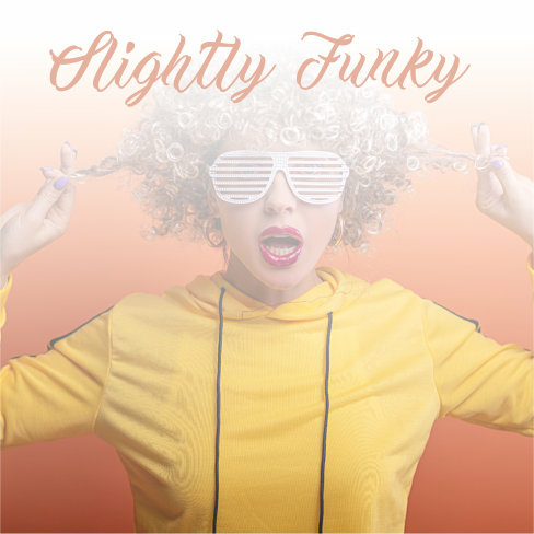 Dhinstroke - Slightly  Funky