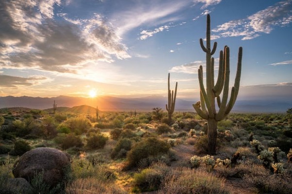 Manuel Senger - desert sunrise