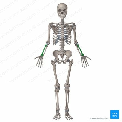 MAHULLA - Bones