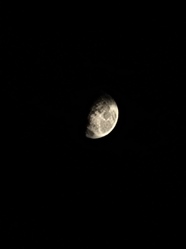 Lioway - Moonlight
